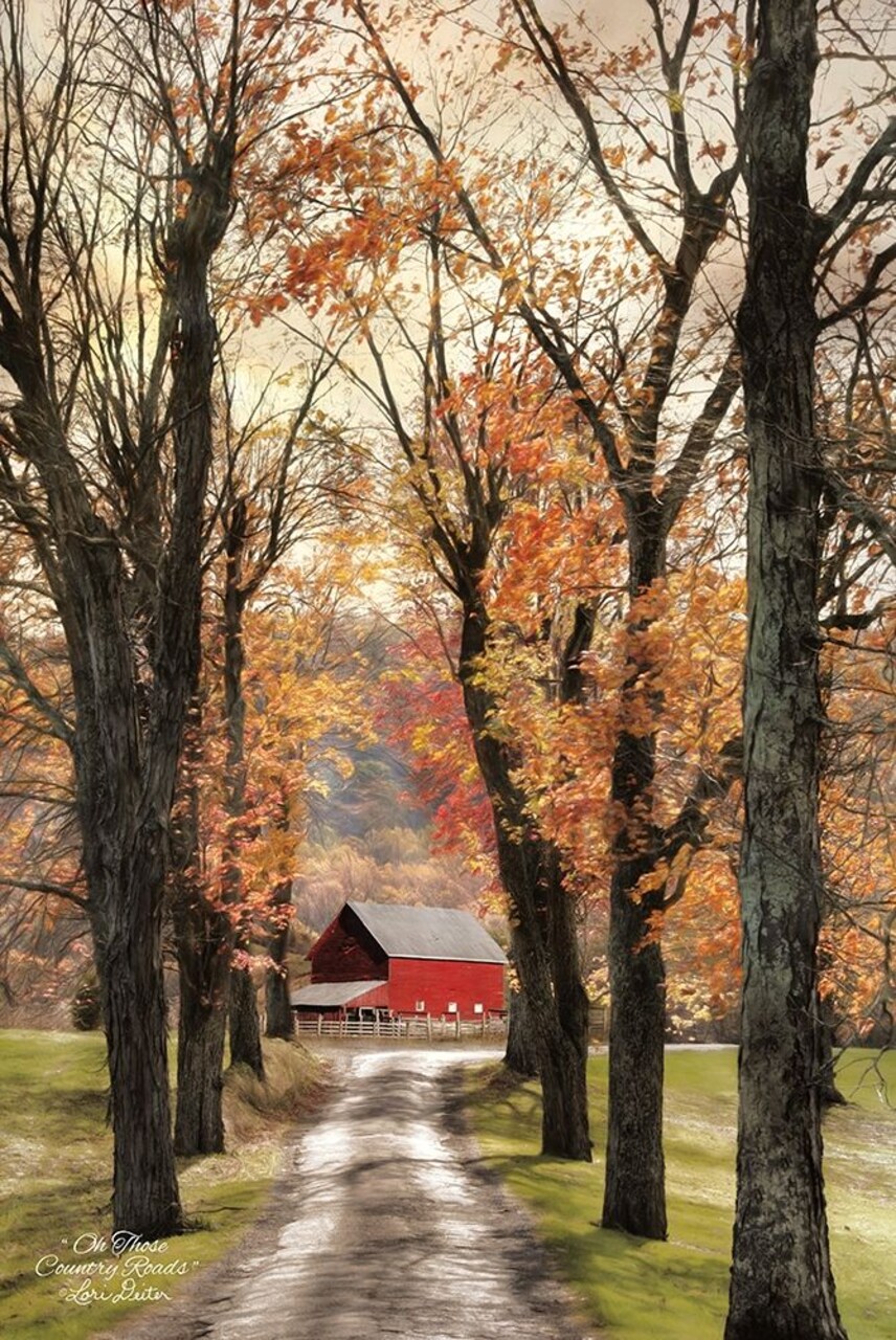 On Those Country Roads Poster Print by Lori Deiter - Item # VARPDXLD1153
